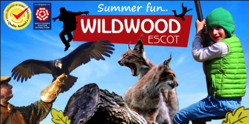 Wildwood Escot